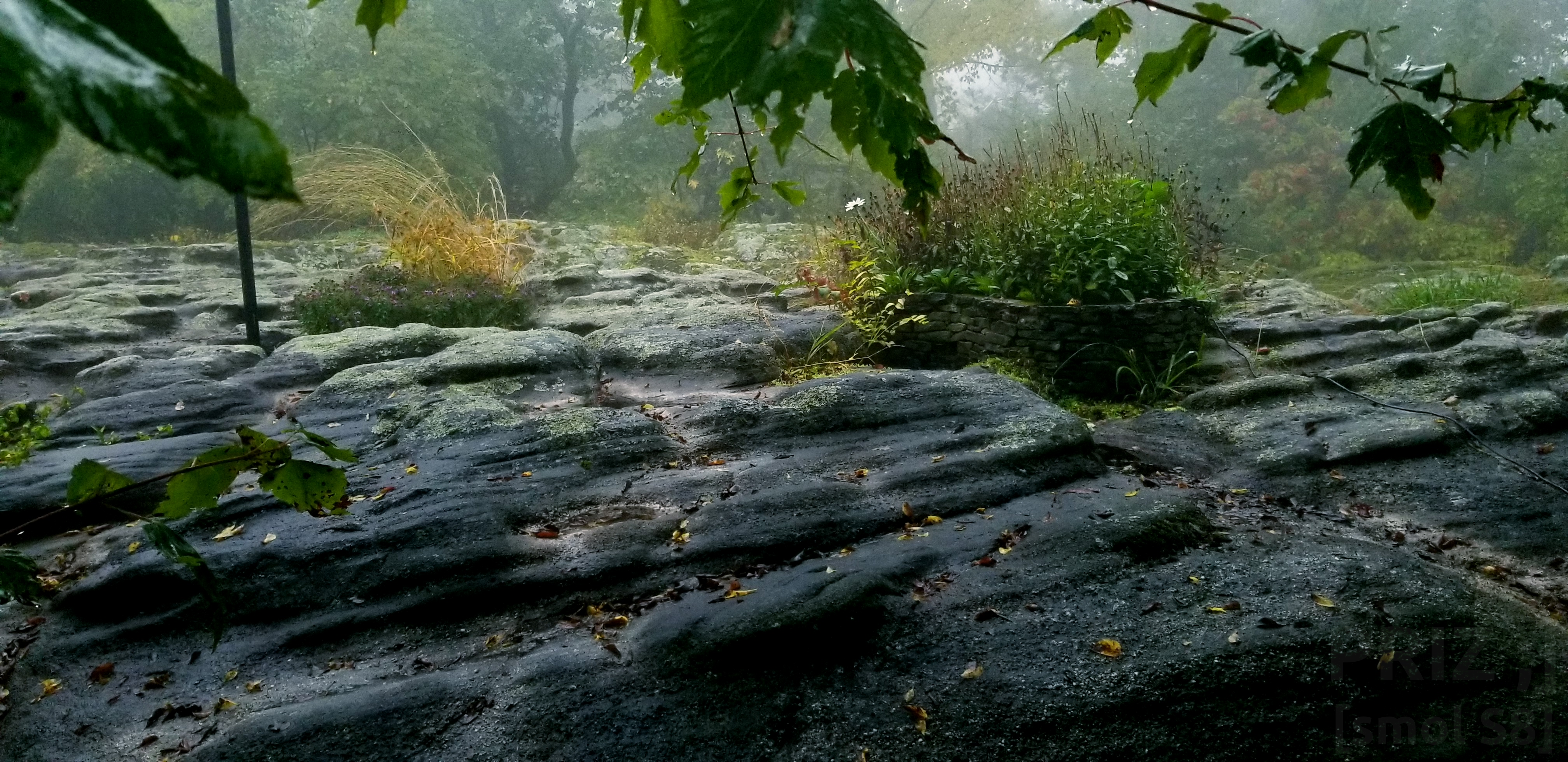 rocky-floor.webp rocky-floor.webp